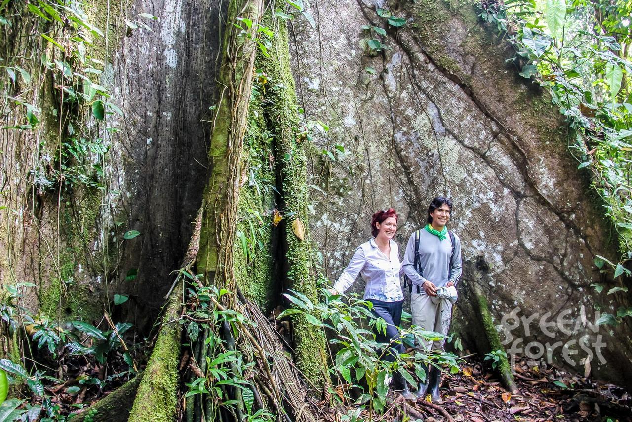 Green Forest Ecolodge Puerto Montufar Екстер'єр фото