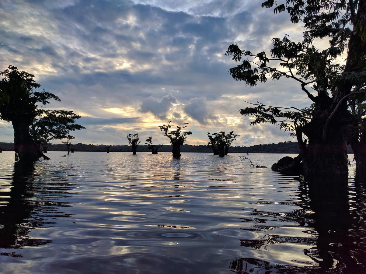 Green Forest Ecolodge Puerto Montufar Екстер'єр фото